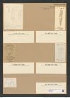 Syringidium americanum L. W. (de-Toni-Nr.: Genus 152, Species 4202) Zeichnungen Sammlung Grunow Nr. 7772 (NHMW-BOT-W0377002)